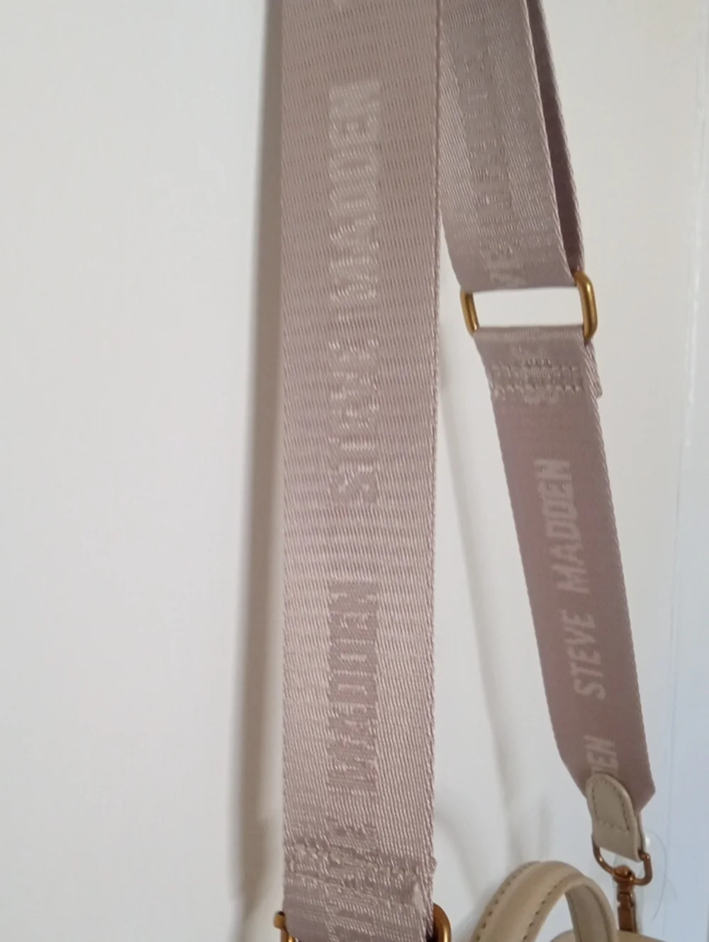 Steve Madden Clear Crossbody Handbag,NWT.